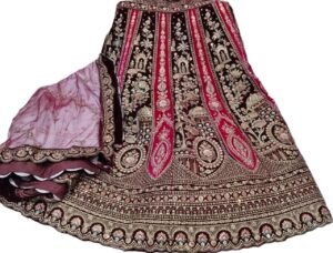 Langha Abhivadan Dhruvika